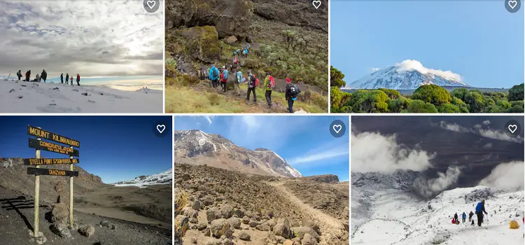 Private climber ascending Umbwe Route Kilimanjaro